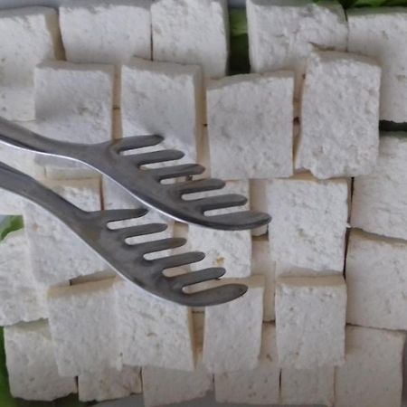 Garni Hotel Crystal Ice Ni Eksteriør bilde
