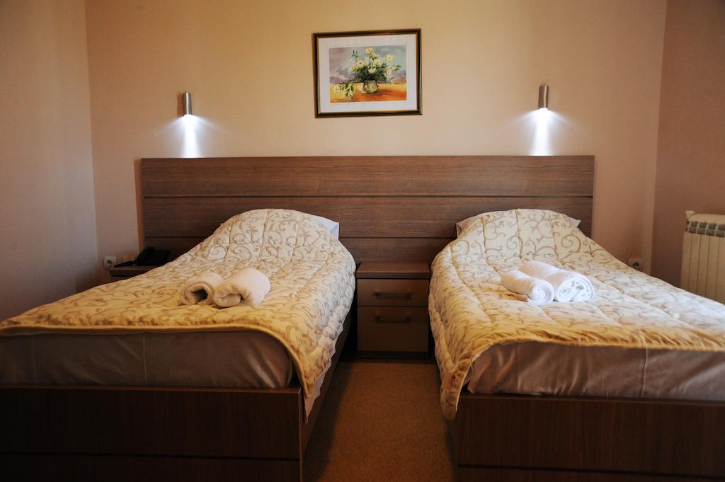 Garni Hotel Crystal Ice Ni Rom bilde